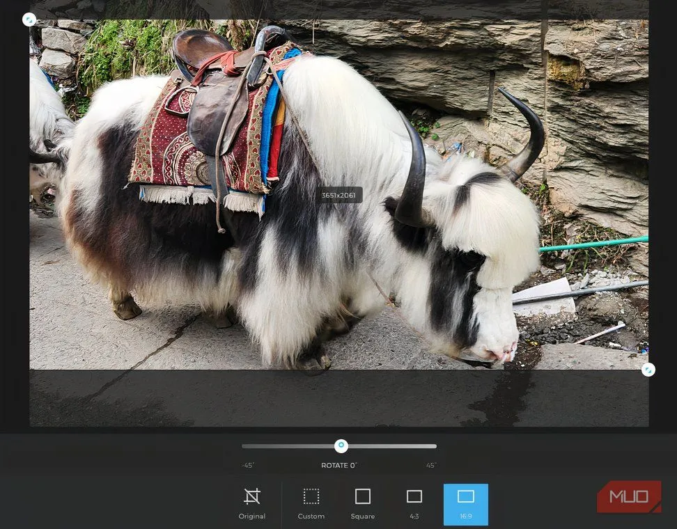 Image default