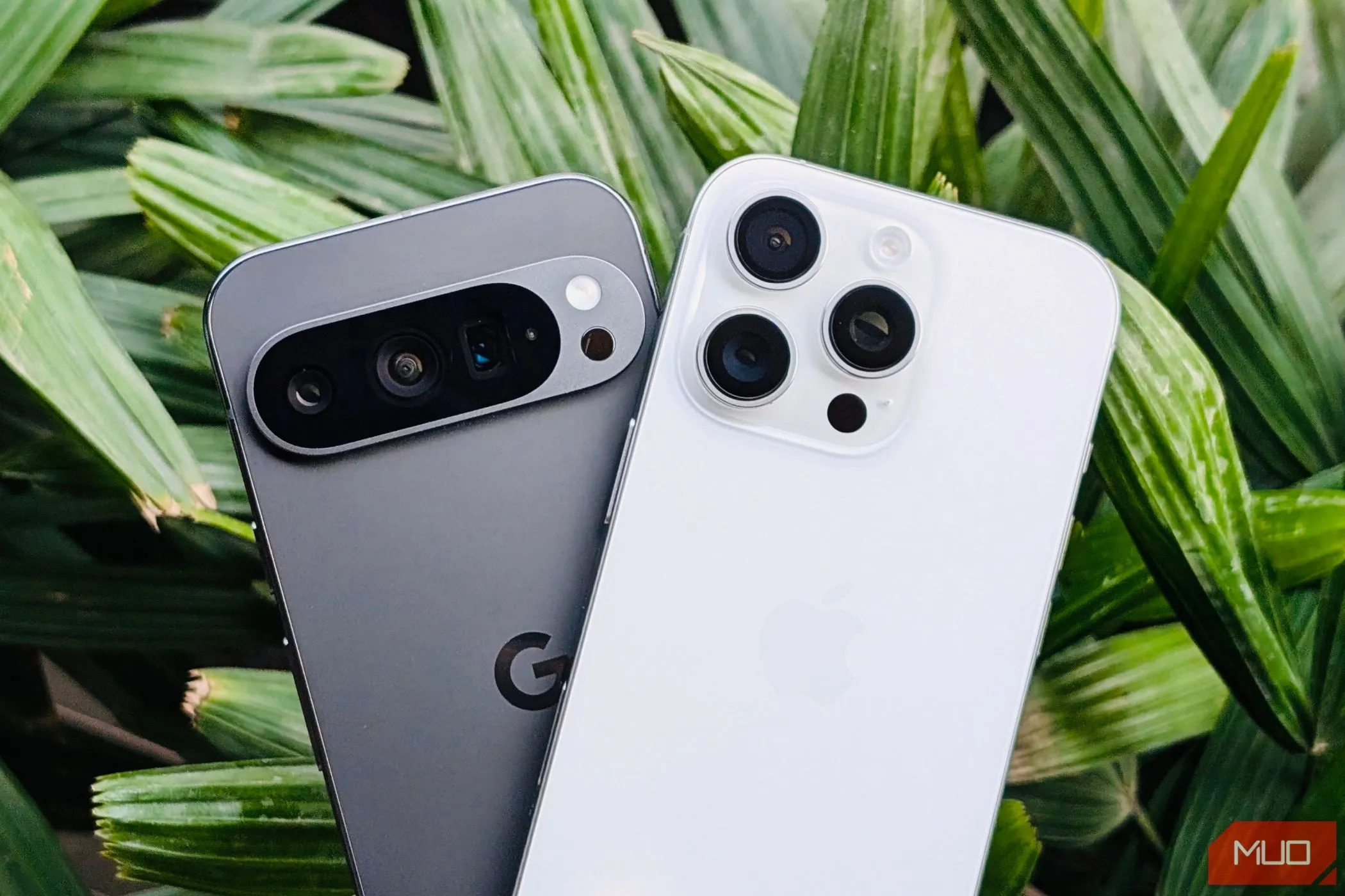 Điện thoại Pixel 9 Pro và iPhone 16 Pro đặt trước một chậu cây