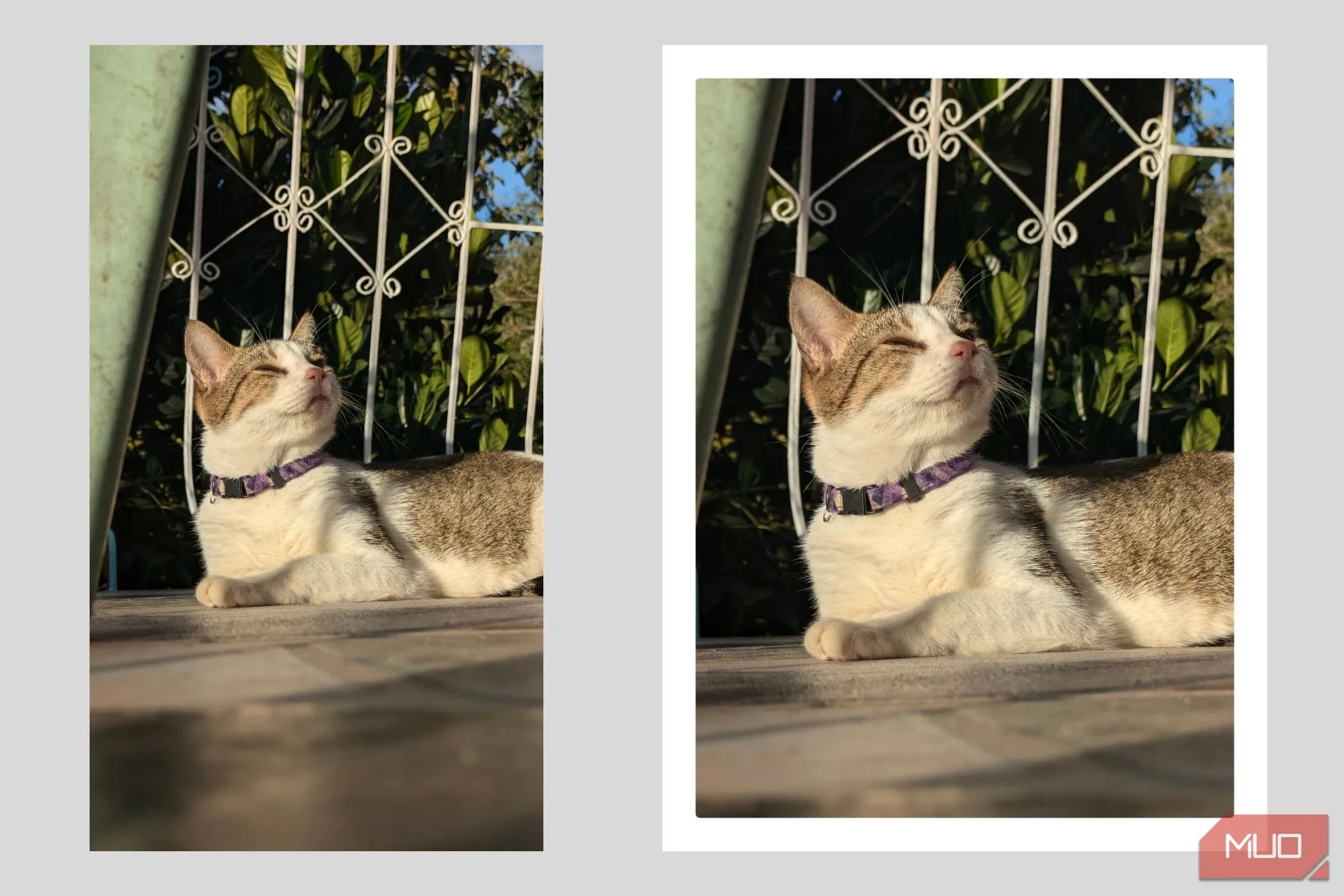 Ảnh chân dung với tỷ lệ 4:3 và viền trắng dày, mô phỏng phong cách chụp ảnh Polaroid cổ điển