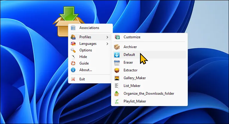 Các tùy chọn của DropIt trên màn hình desktop Windows 11