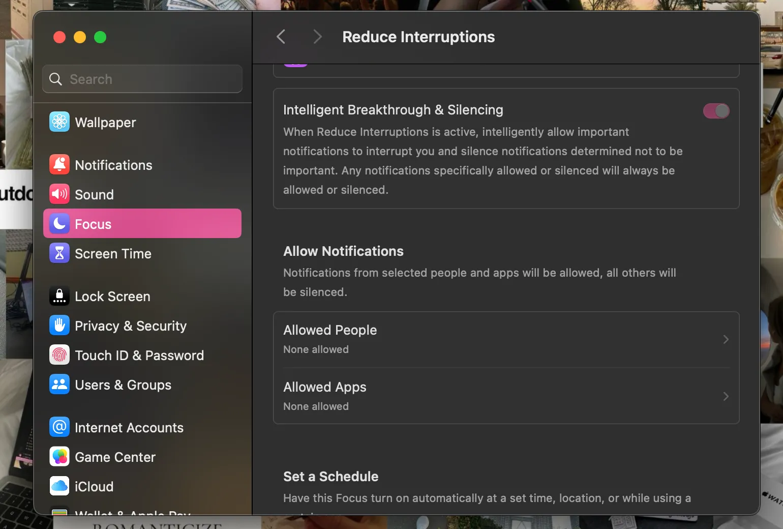 Cài đặt Chế độ Tập trung 'Giảm Gián Đoạn' (Reduce Interruptions) trên macOS, hiển thị các tùy chọn tùy chỉnh cho Mac.