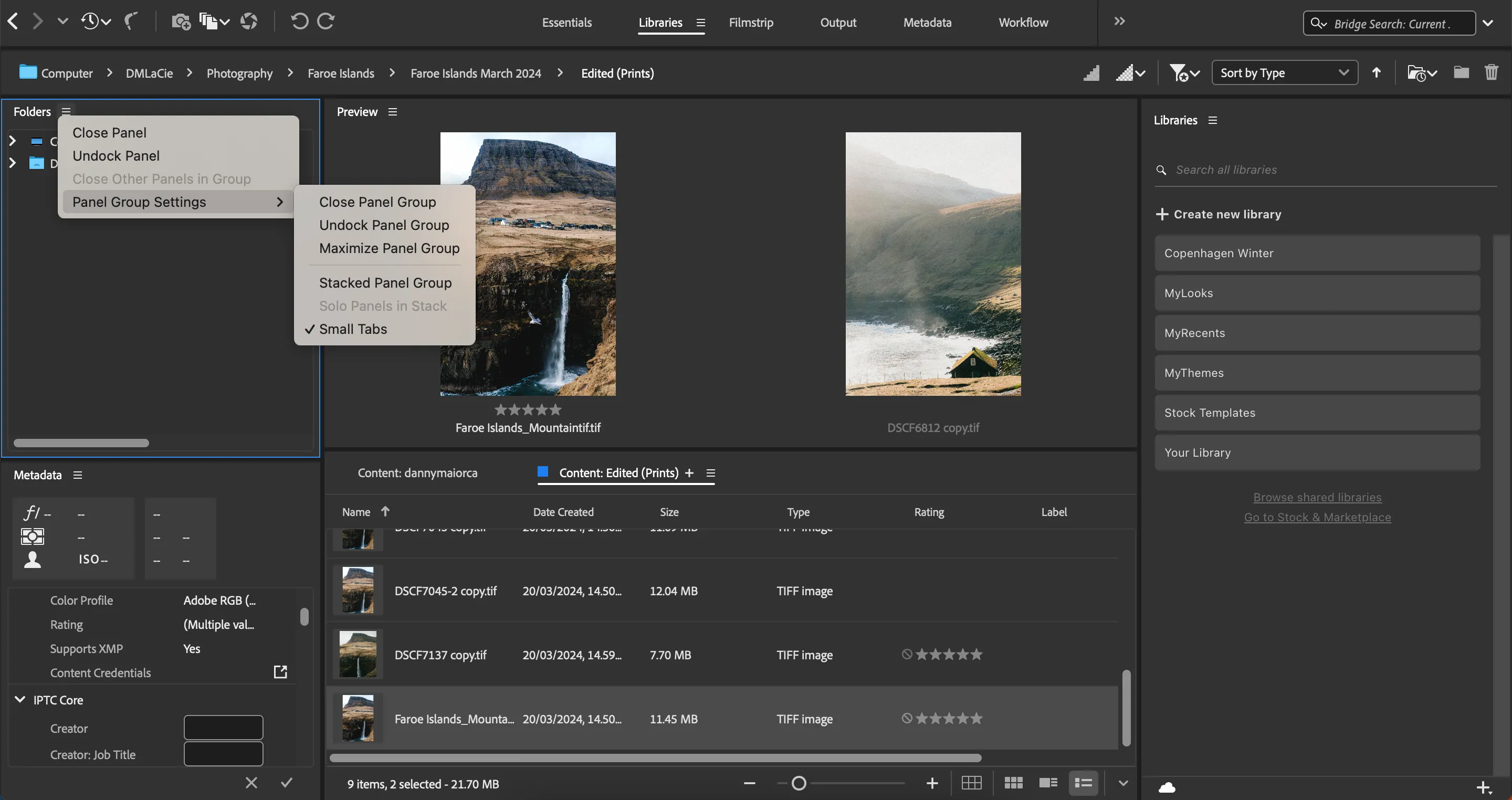 Cài đặt tùy chỉnh các bảng điều khiển trong giao diện Adobe Bridge, cho phép người dùng sắp xếp không gian làm việc linh hoạt.