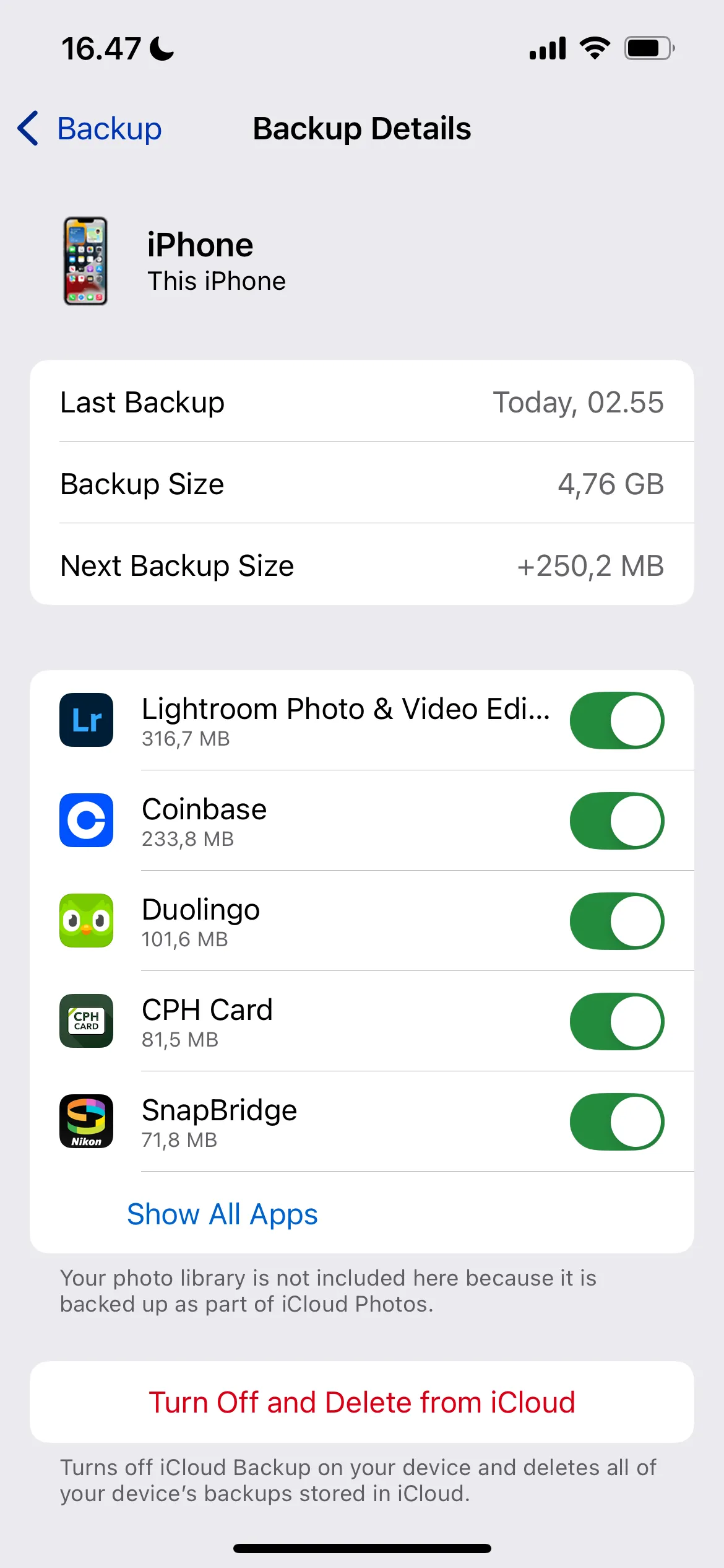 Chọn chi tiết sao lưu iCloud theo ứng dụng trên iPhone