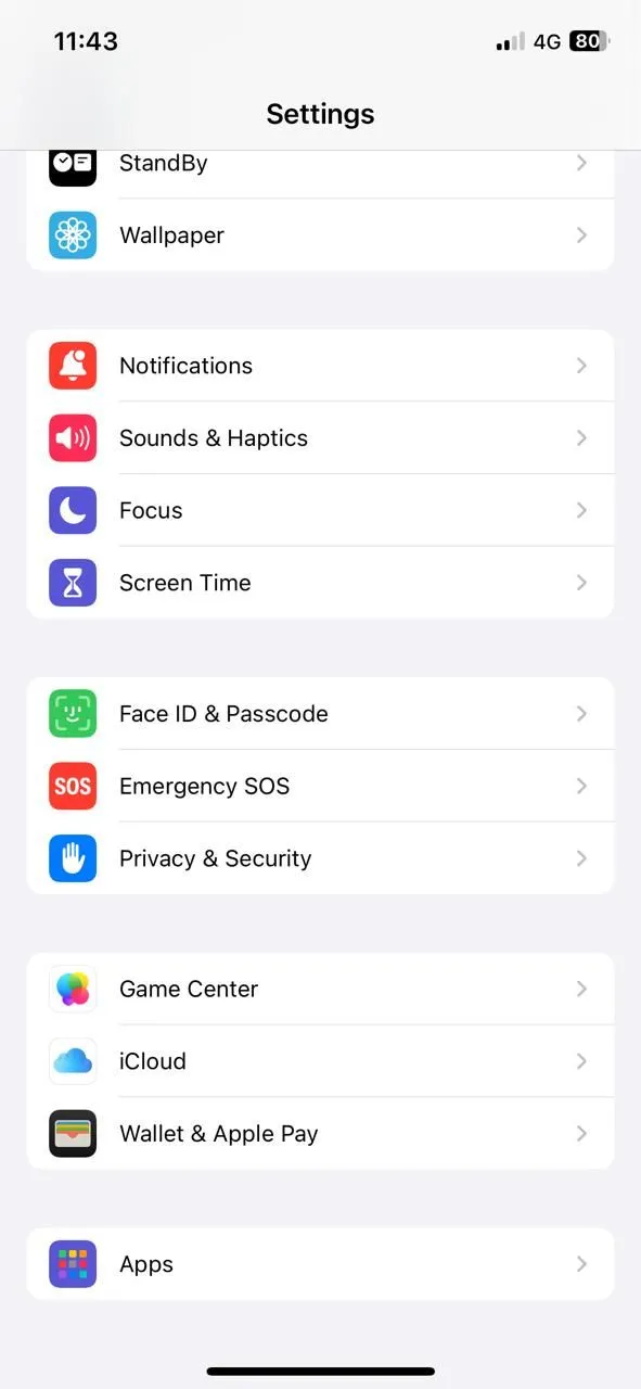 Giao diện ứng dụng Cài đặt trên iPhone, hiển thị menu Thư để truy cập cài đặt quyền riêng tư email
