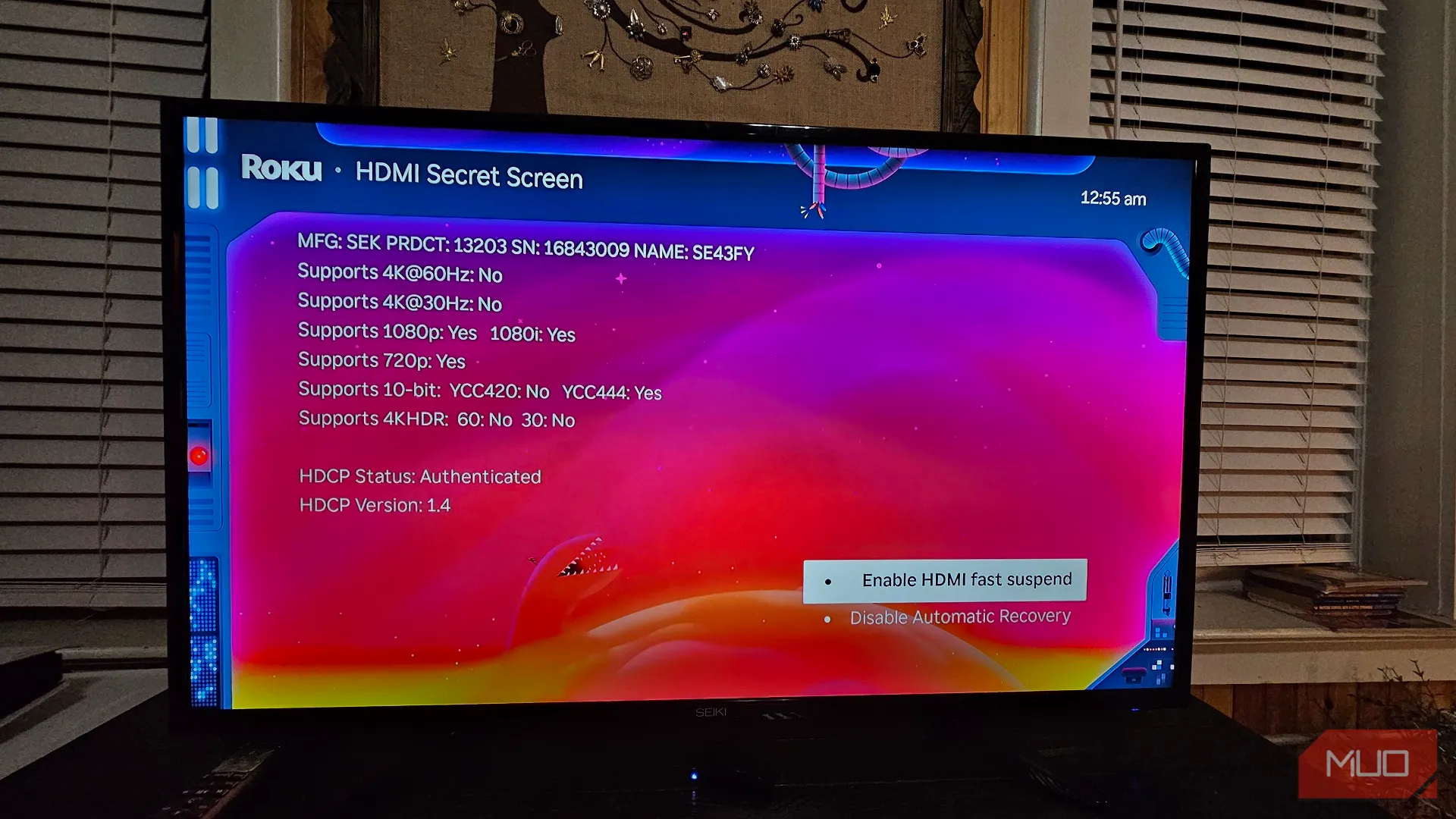 Màn hình Bí mật HDMI của Roku hiển thị thông tin về độ phân giải và tốc độ làm mới