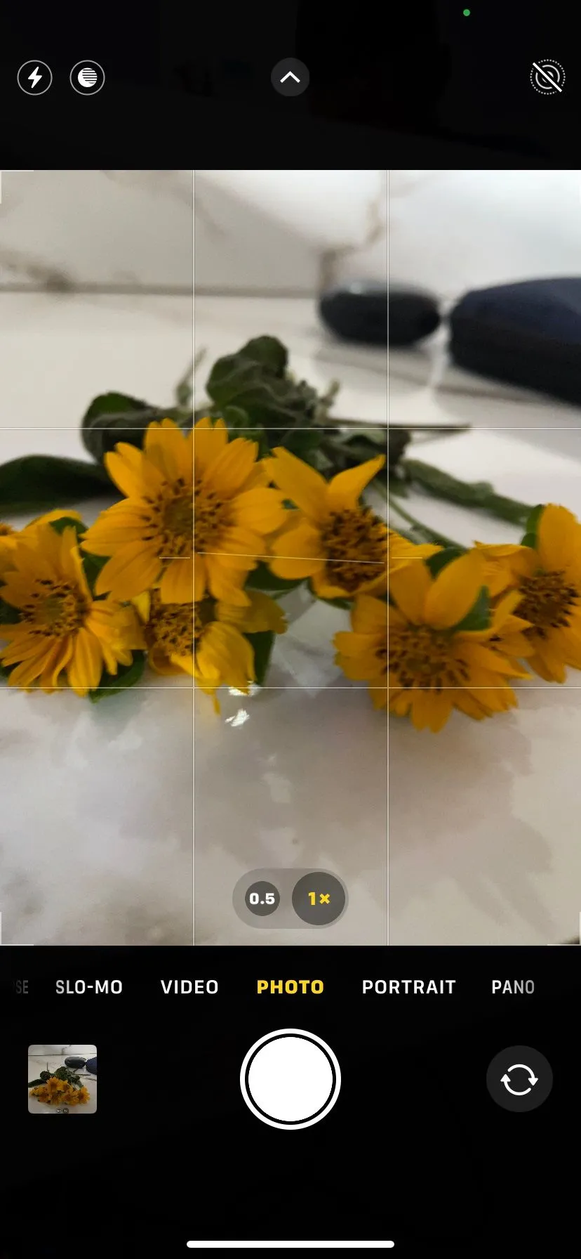 Màn hình camera iPhone hiển thị lưới bố cục 3x3 giúp người dùng căn chỉnh đối tượng và đường chân trời.