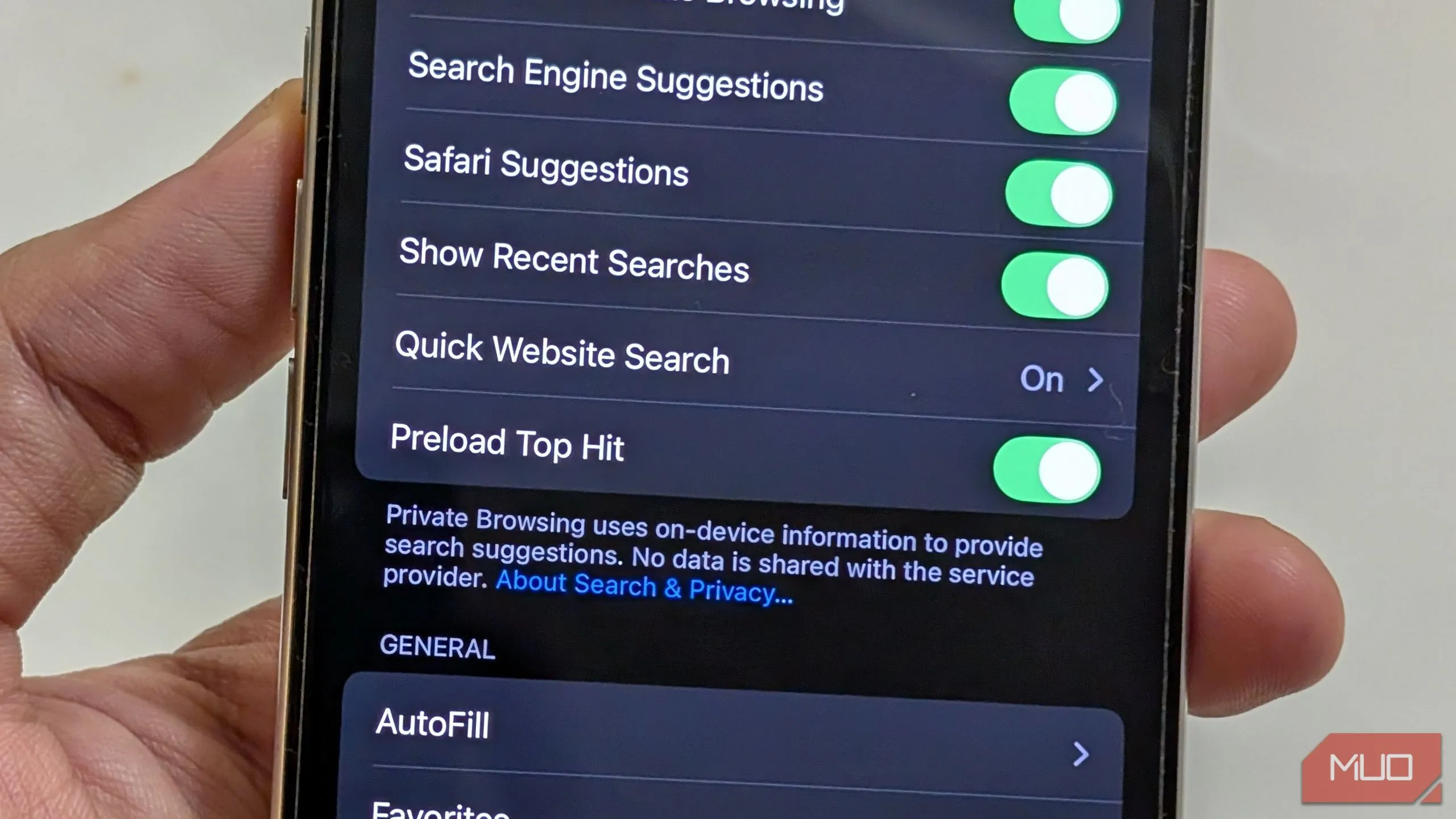 Tùy chọn Preload Top Hit trong cài đặt Safari trên iPhone.